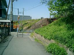 c0057946_11305181.jpg