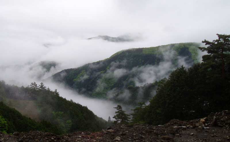 d0014748_20173276.jpg