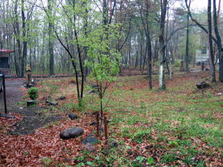 e0088260_0112732.jpg