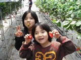 f0036962_17273591.jpg