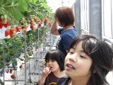 f0036962_17284100.jpg