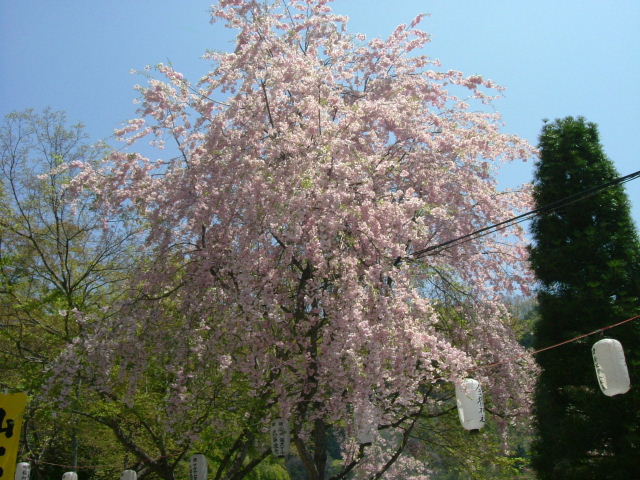 f0038665_014727.jpg