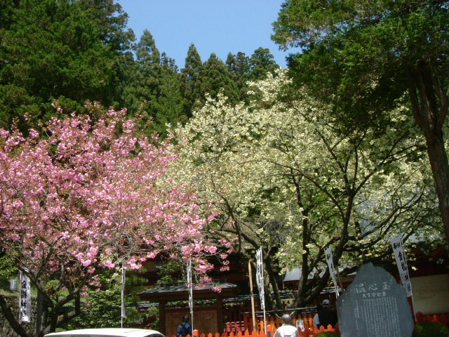 f0038665_018827.jpg