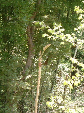 f0038665_0282699.jpg