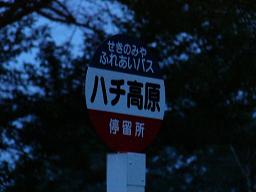 b0035066_148367.jpg