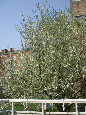 e0079166_2223071.jpg