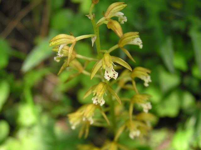c0042869_2105228.jpg