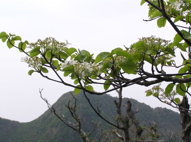 c0042869_2114581.jpg