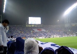 f0061674_0261016.jpg