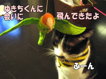 b0041182_0271220.jpg