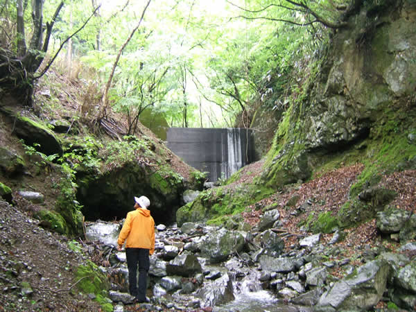 f0087787_9113248.jpg