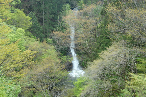 b0058796_21124719.jpg