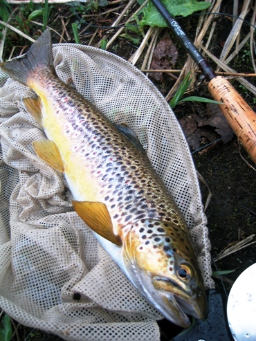 e0035597_19524764.jpg