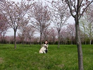 a0039299_11291668.jpg