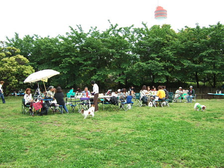 c0044199_2253316.jpg