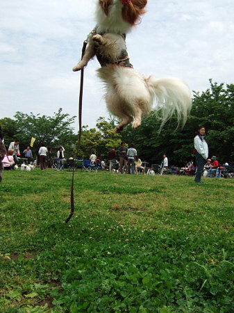 c0044199_22581648.jpg