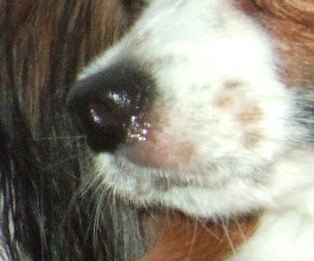 c0044199_2343148.jpg