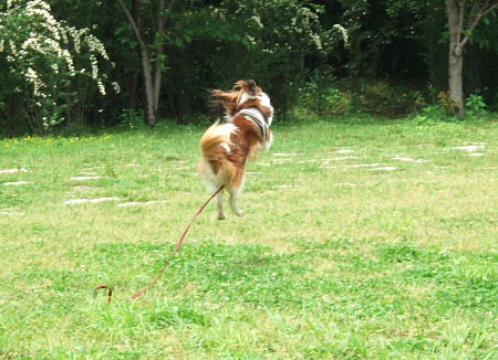 c0044199_2361770.jpg