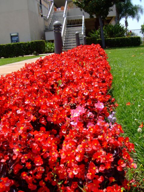 c0062603_14394541.jpg