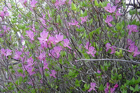 b0014607_15411221.jpg