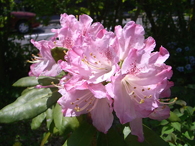 a0065611_12535144.jpg