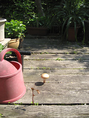 a0065611_14331029.jpg