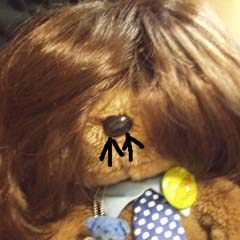 c0036617_1731326.jpg