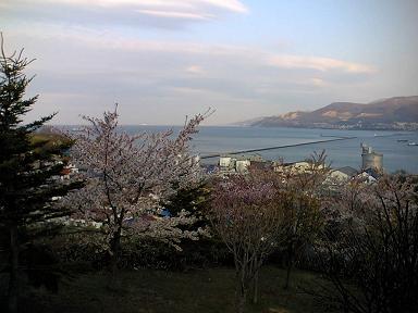 e0063317_1015315.jpg