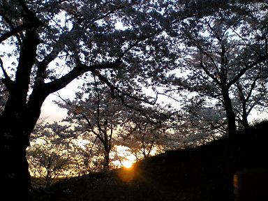 e0063317_1018284.jpg