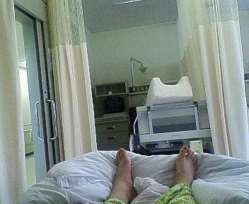 b0085219_11584454.jpg