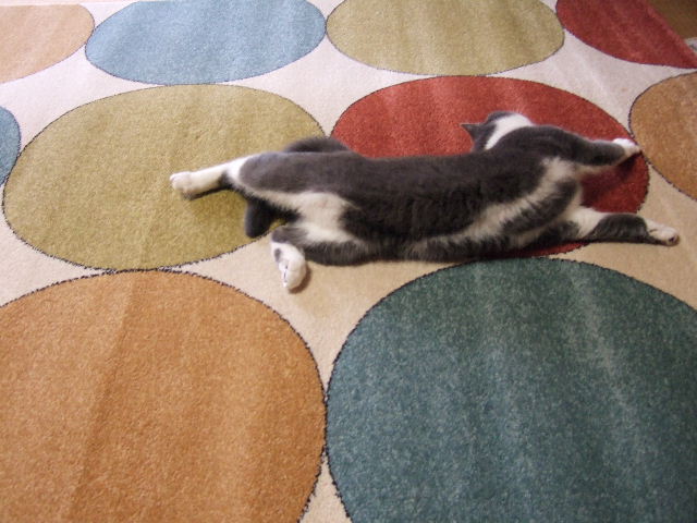 f0032020_15404570.jpg