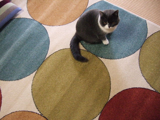 f0032020_15431124.jpg