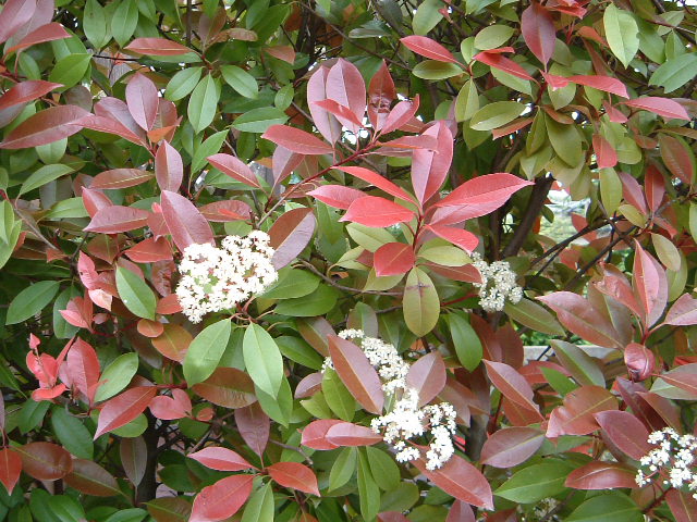 d0012323_0273052.jpg