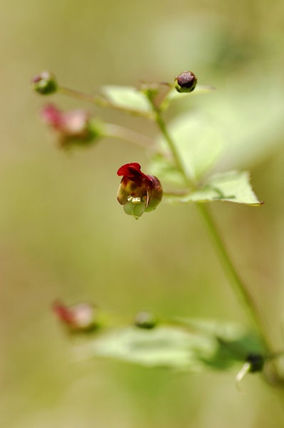 c0027027_22271285.jpg