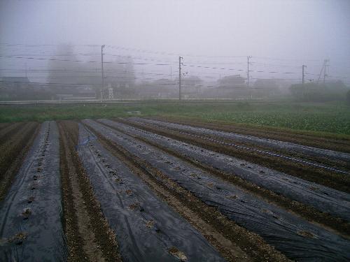c0072843_7194971.jpg