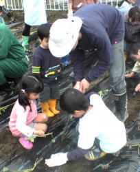 c0067646_109588.jpg