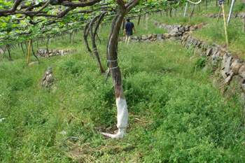 e0001170_2219440.jpg