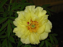 b0039373_1712033.jpg
