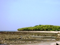 c0061974_23135741.jpg