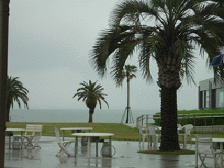 c0039690_2125778.gif