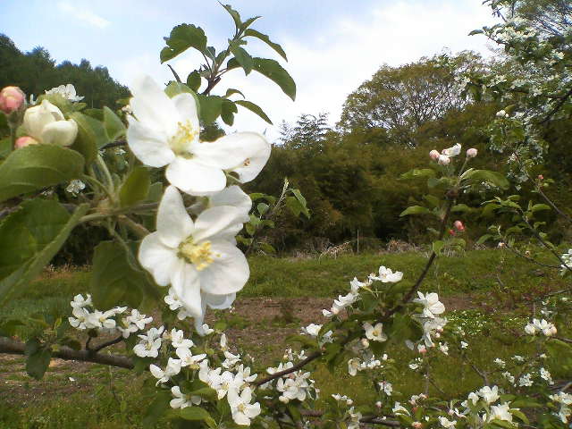 d0049594_1945587.jpg