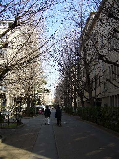 b0062495_030761.jpg