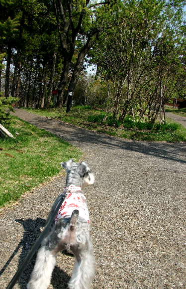 f0001895_16404727.jpg
