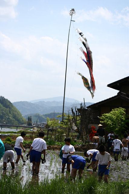 a0067201_650419.jpg