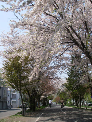 a0059206_16233216.jpg