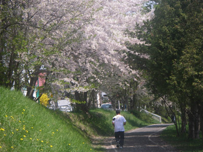 a0059206_16312377.jpg