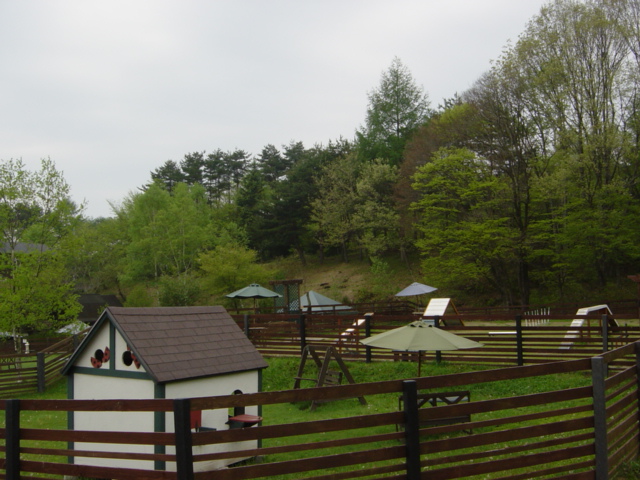 f0064906_1744956.jpg