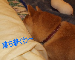 f0004309_14173945.jpg