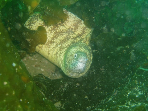 a0000014_23305990.jpg