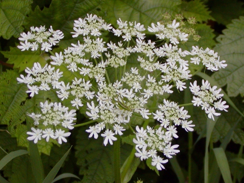 b0088618_2232170.jpg